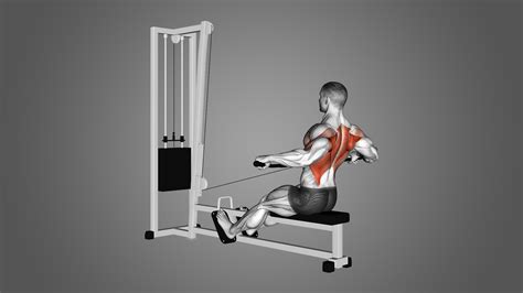 cable row gif|cable row close grip gif.